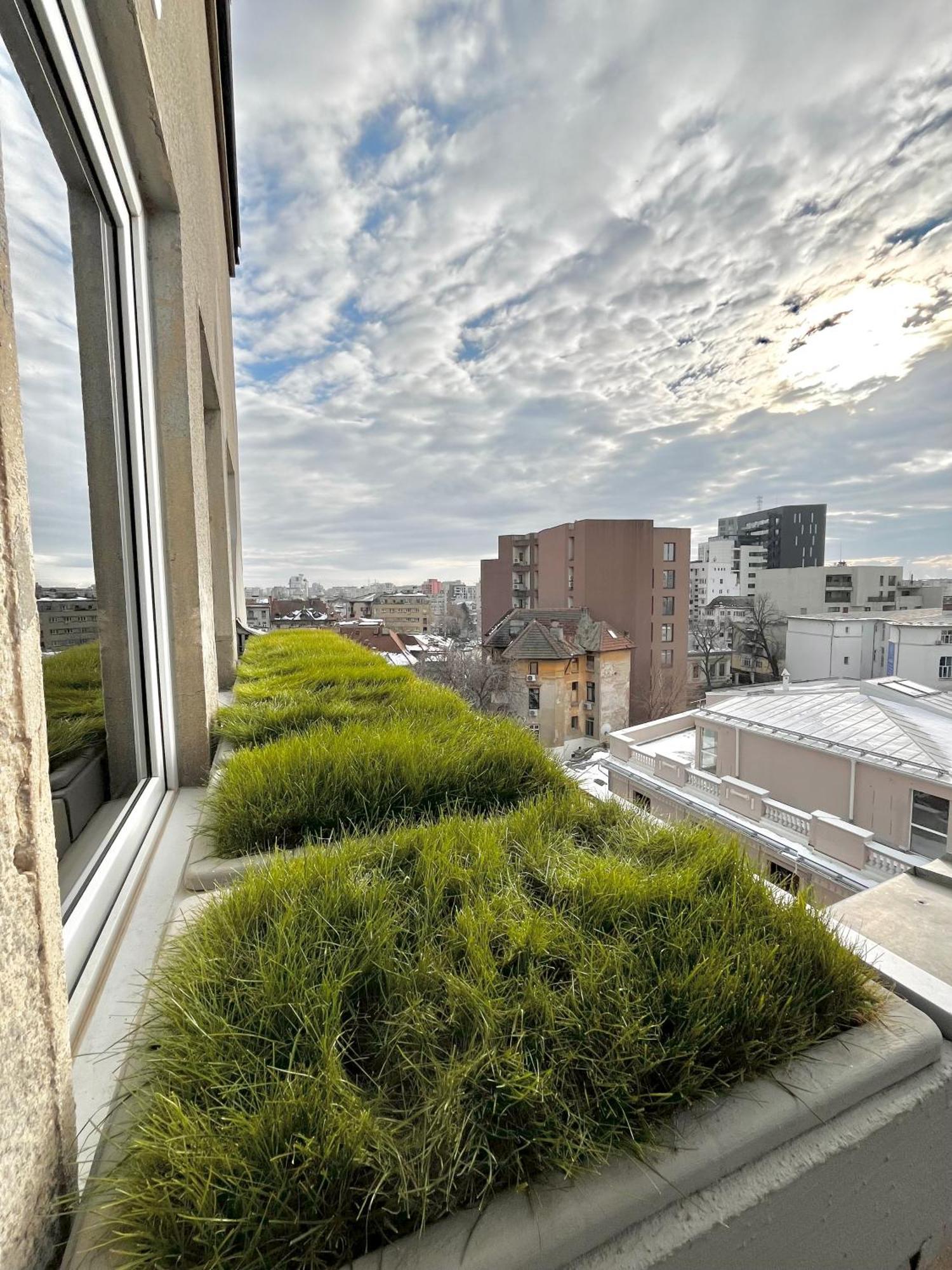 Terrace View Downtown Studio Бухарест Экстерьер фото